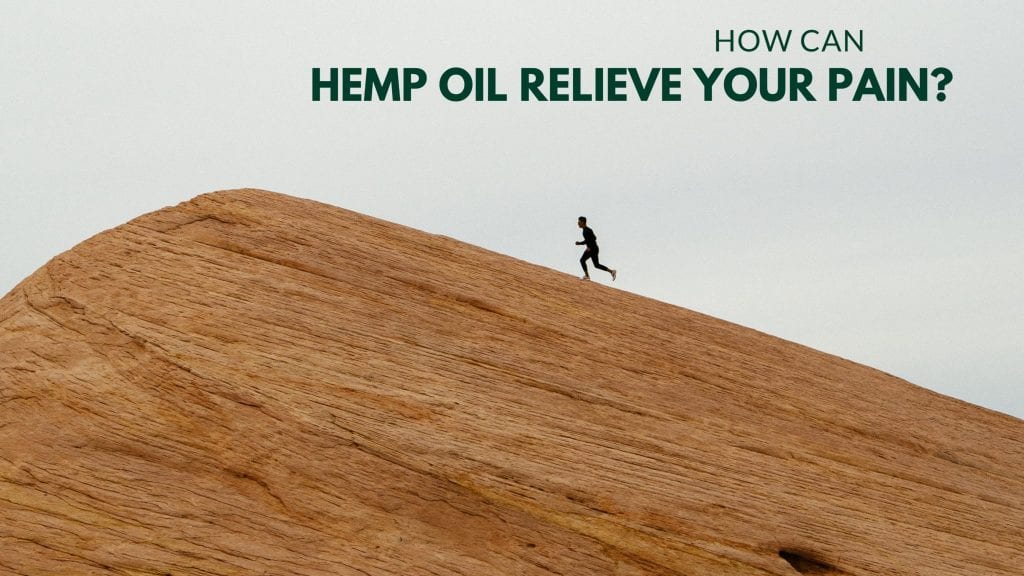 HOW CAN HEMP OIL RELIEVE YOUR PAIN?