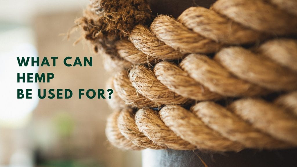 WHAT CAN HEMP BE USED FOR?