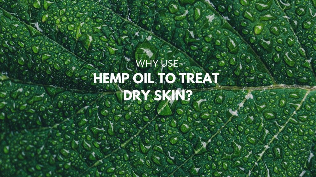 WHY USE HEMP OIL TO TREAT DRY SKIN?