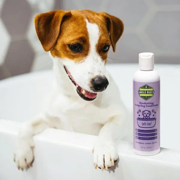 Hemp Dog Conditioner