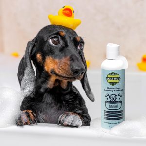 Best Hemp Pet Shampoo [2021 Updated Formula] | Uncle Bud’s Hemp