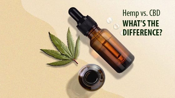 Hemp vs CBD What's the Difference?