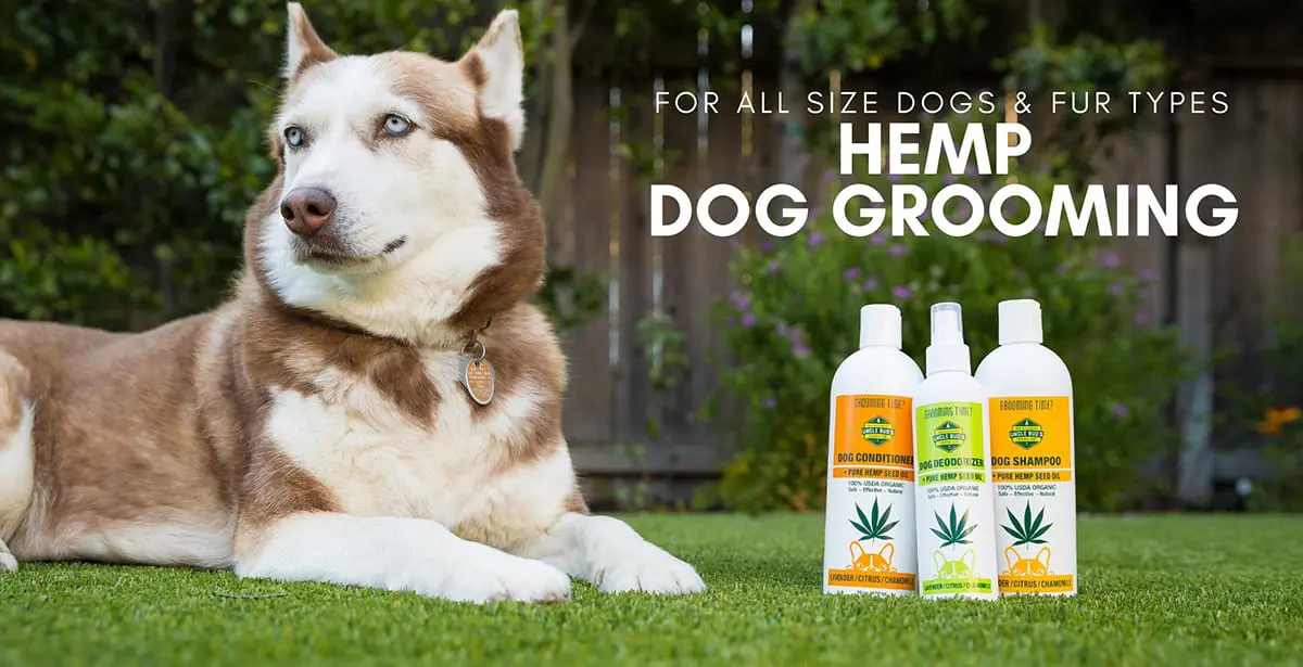 Hemp and CBD Products for your pets by Uncle Bud's