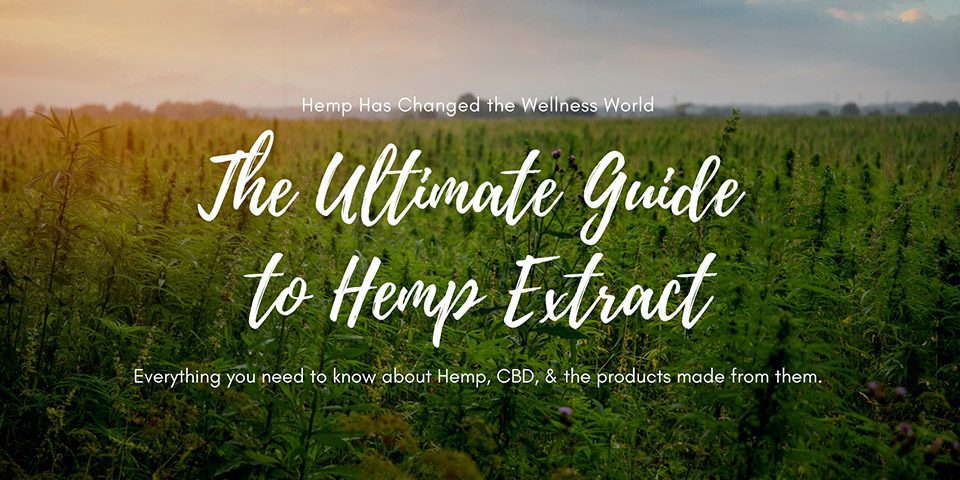 Ultimate Guide Hemp Extract Header