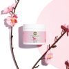 CBD Facial Scrub