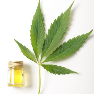 Hemp Oil