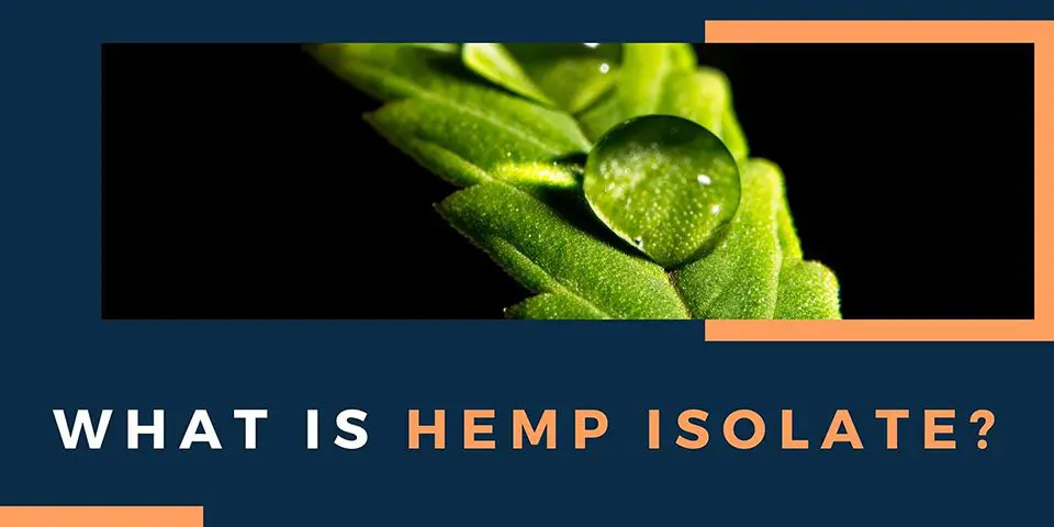 What is Hemp Isolate? Header