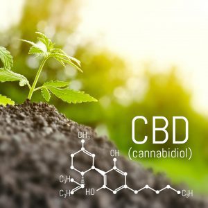 THC in CBD