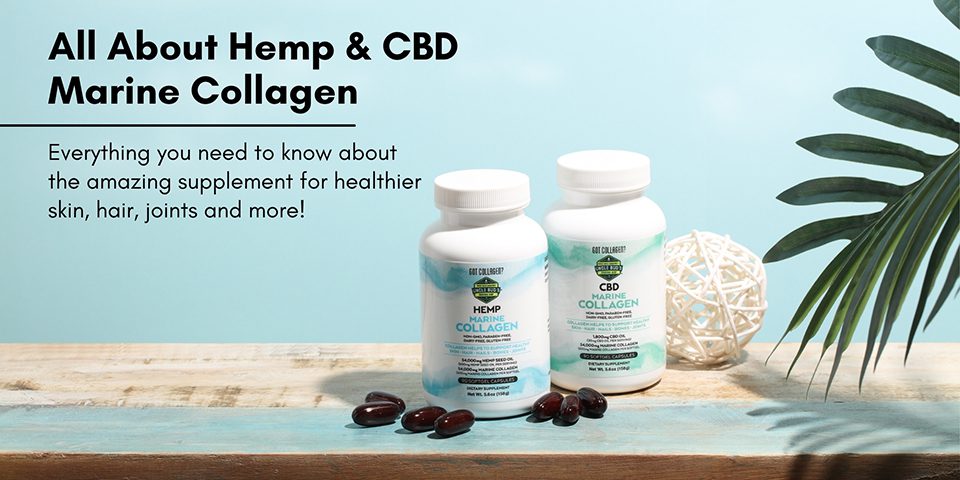 Hemp & CBD Marine Collagen