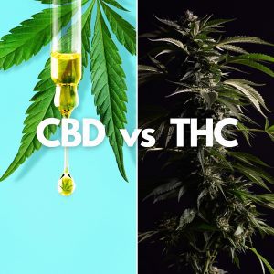 Hemp, CBD and Drug Tests 2