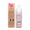 CBD Gentle Foaming Face Cleanser