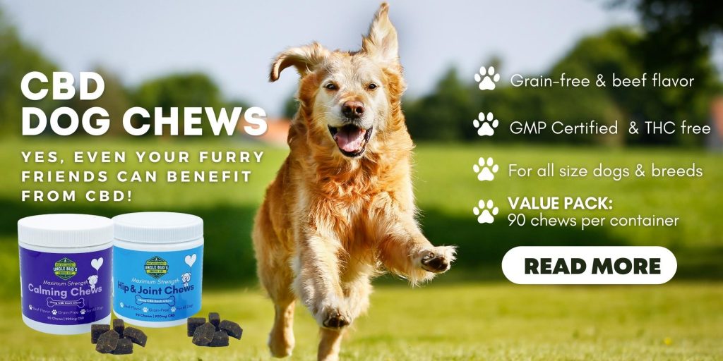 CBD Dog Chews Feature Image