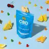 CBD Buds Bears – Fruit Flavored Gummies