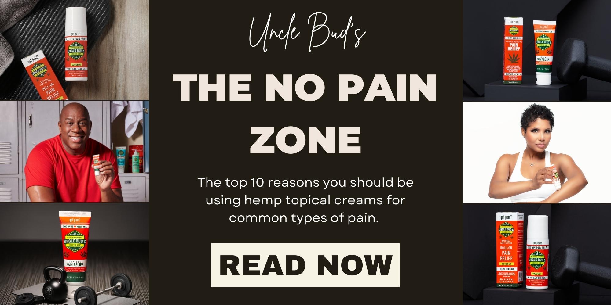 The No Pain Zone Blog Header